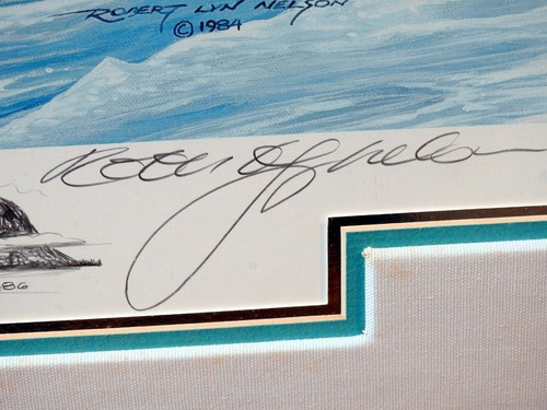 Robert Lyn Nelson 1984 Framed Sign Number 183/ 300 NICE REMARK Baby Harp Seal - Picture 8 of 9