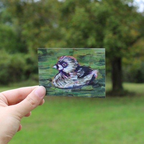 aceo/atc original pie billed grebe bird acrylic painting chappellprints