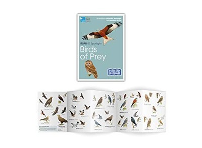 Rspb Id Spotlight - British Birds of Prey