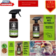 Natural Peppermint & Cinnamon Rodent Repellent Spray - 16 Oz, Safe for Home