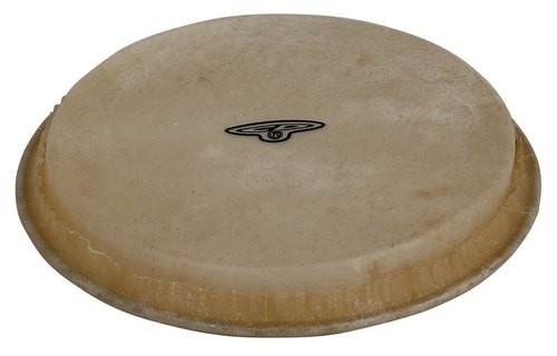 Bongo - Pelle Bongo Cp Traditional