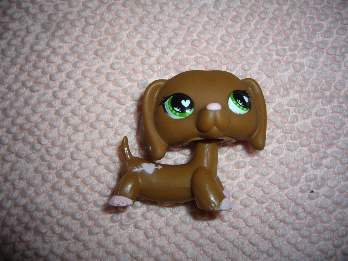 Petshop Chien Colley À VENDRE! - FR