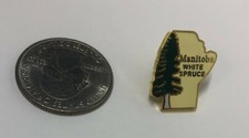 Manitoba White Spruce Pin