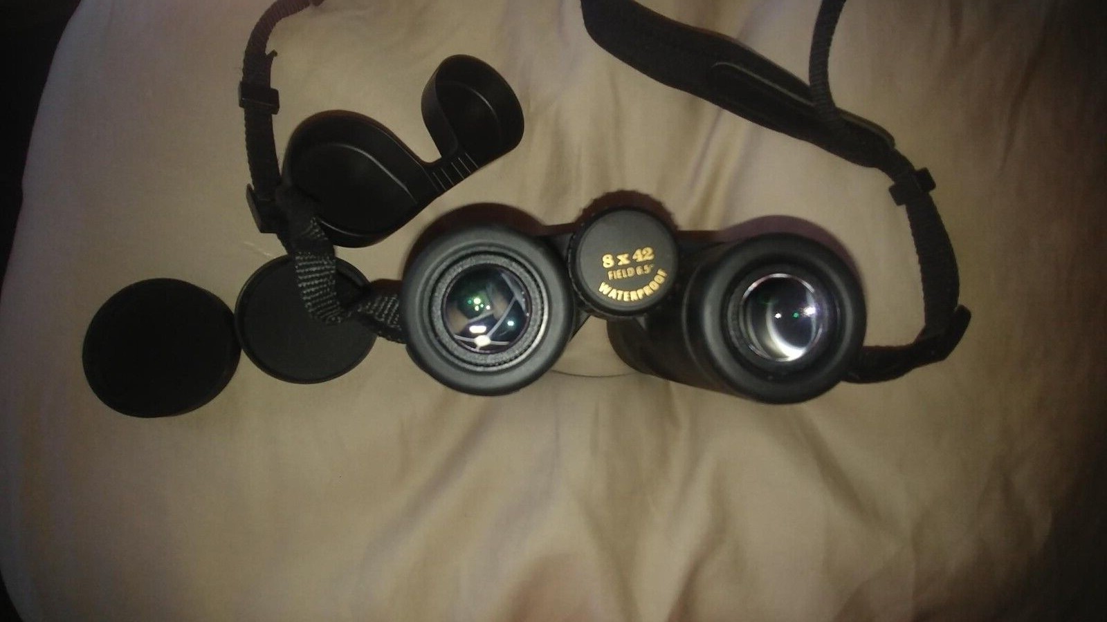 Leupold 8x42 Cascade Green Ring Binocular eBay