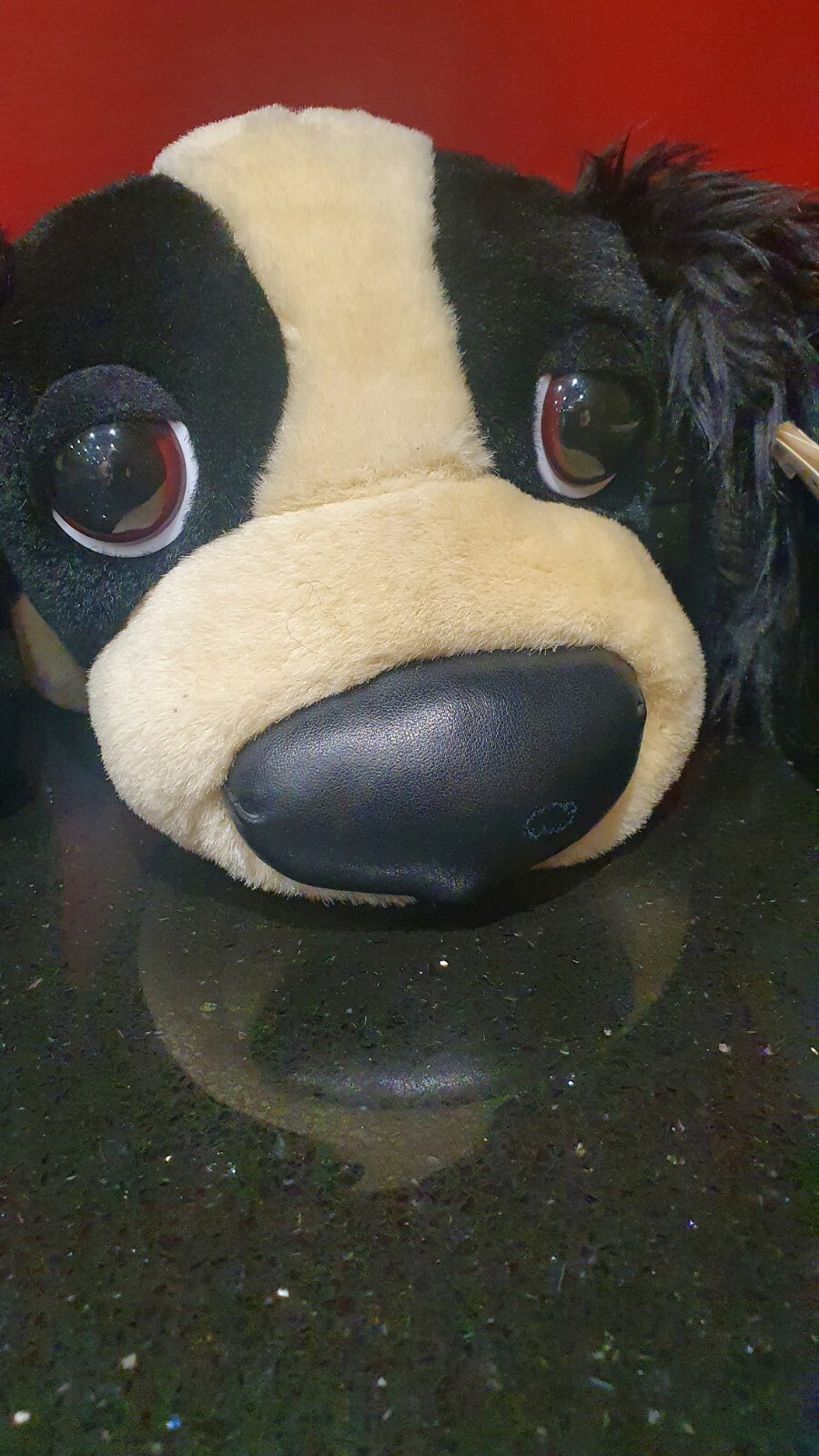Picture 4 of 6