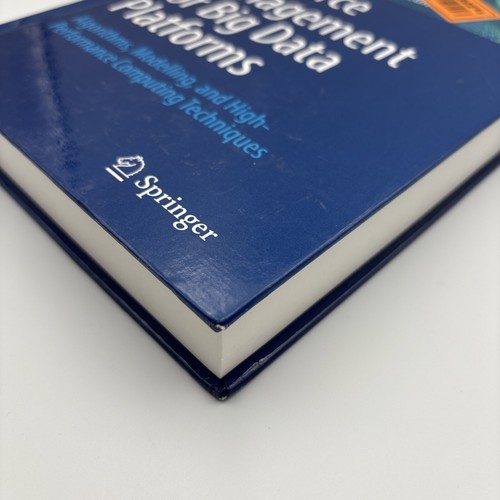 Springer Resource Management for Big Data Platforms Algorithms, Modeling, And Hi - Picture 5 of 10
