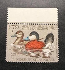 WTDstamps - #RW48 1981 - US Federal Duck Stamp - Mint OG NH