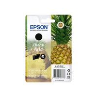 Epson Druckerpatrone T10G1, 604 Original Schwarz C13T10G14010