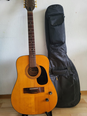Höfner vintage 489 E Arizona Acoustic