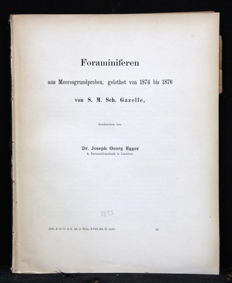 Egger: Foraminiferen aus Meeresgrundproben, gelothet 1874 von S.M.S. Gazelle. - Bild 1 von 1