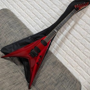 Edwards Flying V | eBay