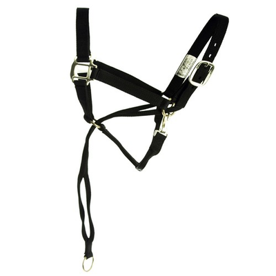 #ad AI HILASON Nylon Training Halter with Poll Pressure Strap 1quot; Heavy Duty $39.90