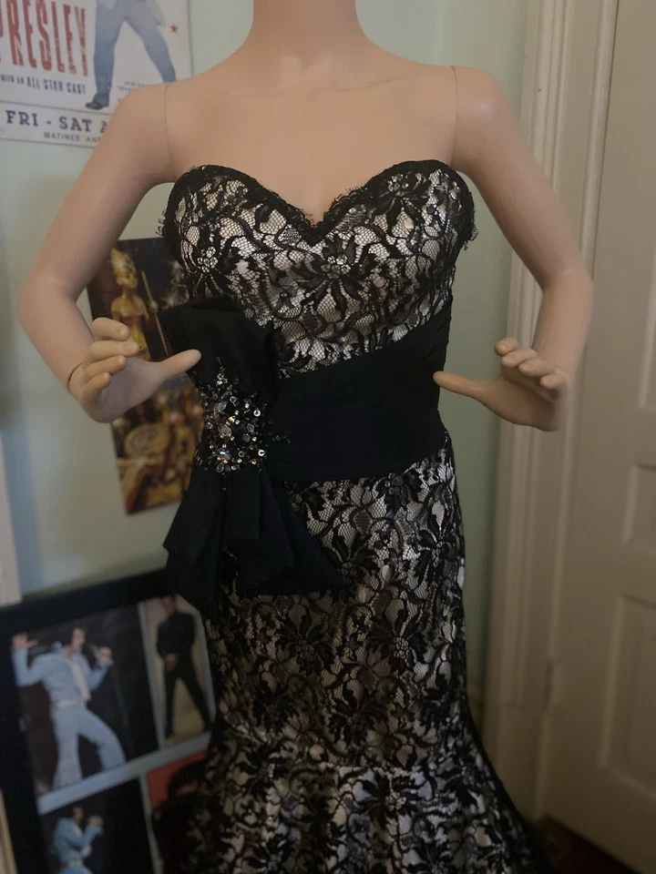 Nuevo vestido de noche Disney Forever Enchanted Foto 3 de 4