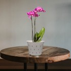 Foto 2 di 12
