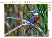Calvendo Puzzle Red-Breasted Kingfisher From Costa Rica | 1000 Pieces, Finished