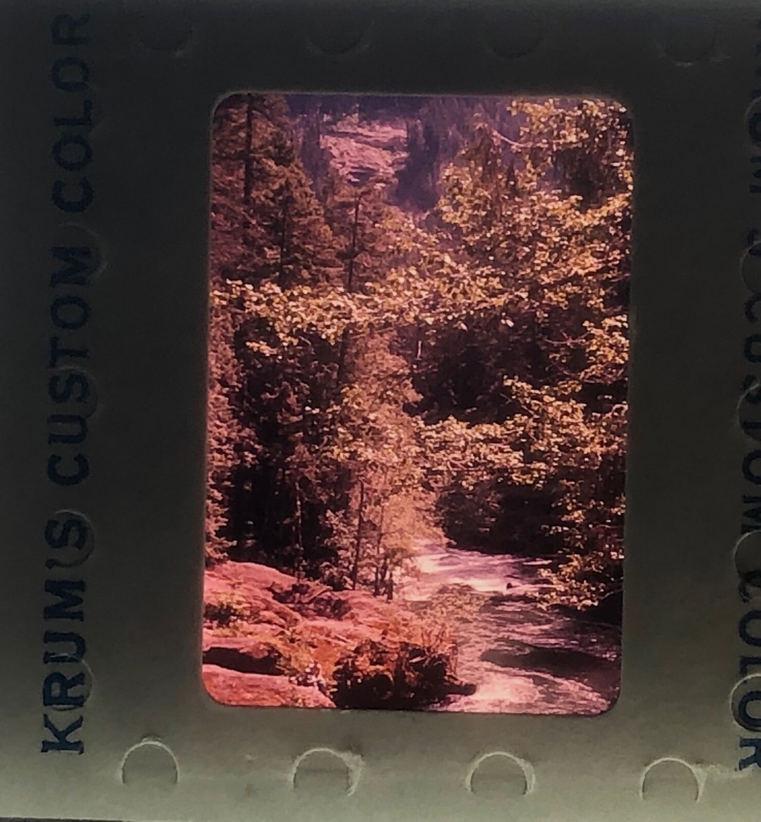 35mm Slide Lot 1958 Original 6 Snapshots Mt Rainier Mountain