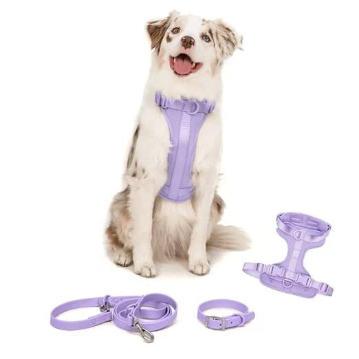 Dog Harness and Leash Set |  No Pull Dog Harness and Waterproof Medium Lilac