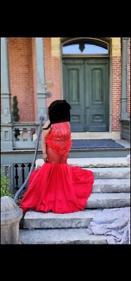 Red Homecoming Plus Size Dress, Sequin and See Through in the Front. | eBay