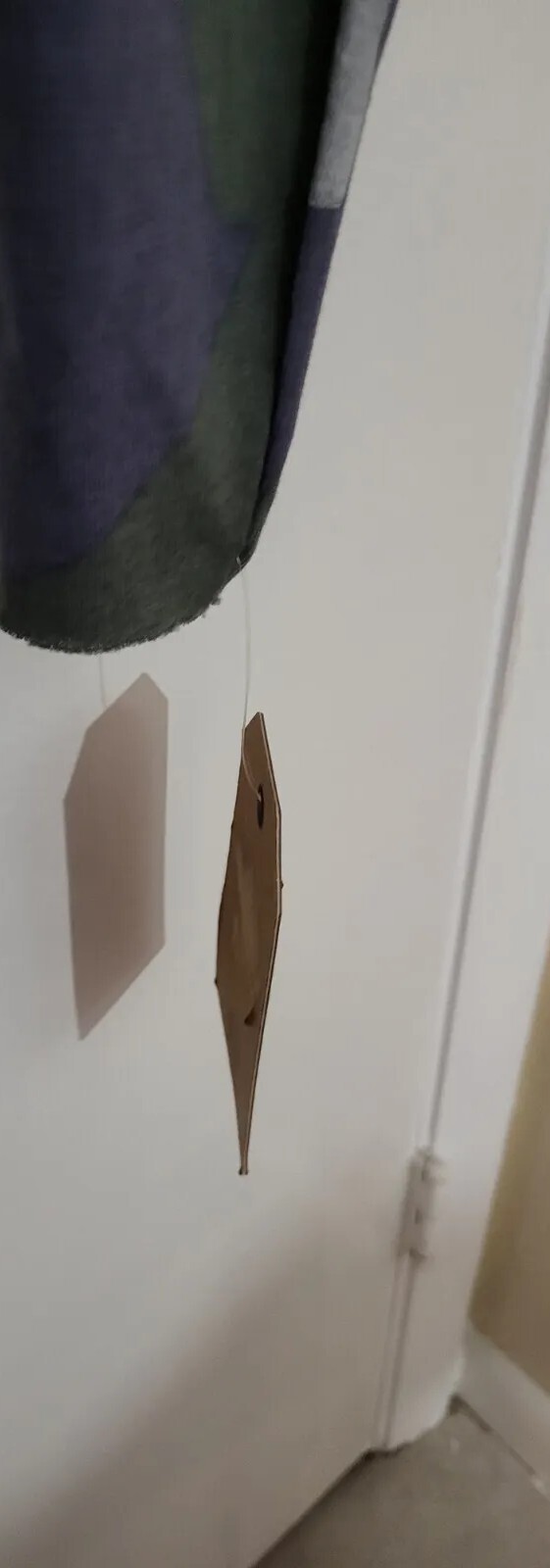 Picture 5 of 8