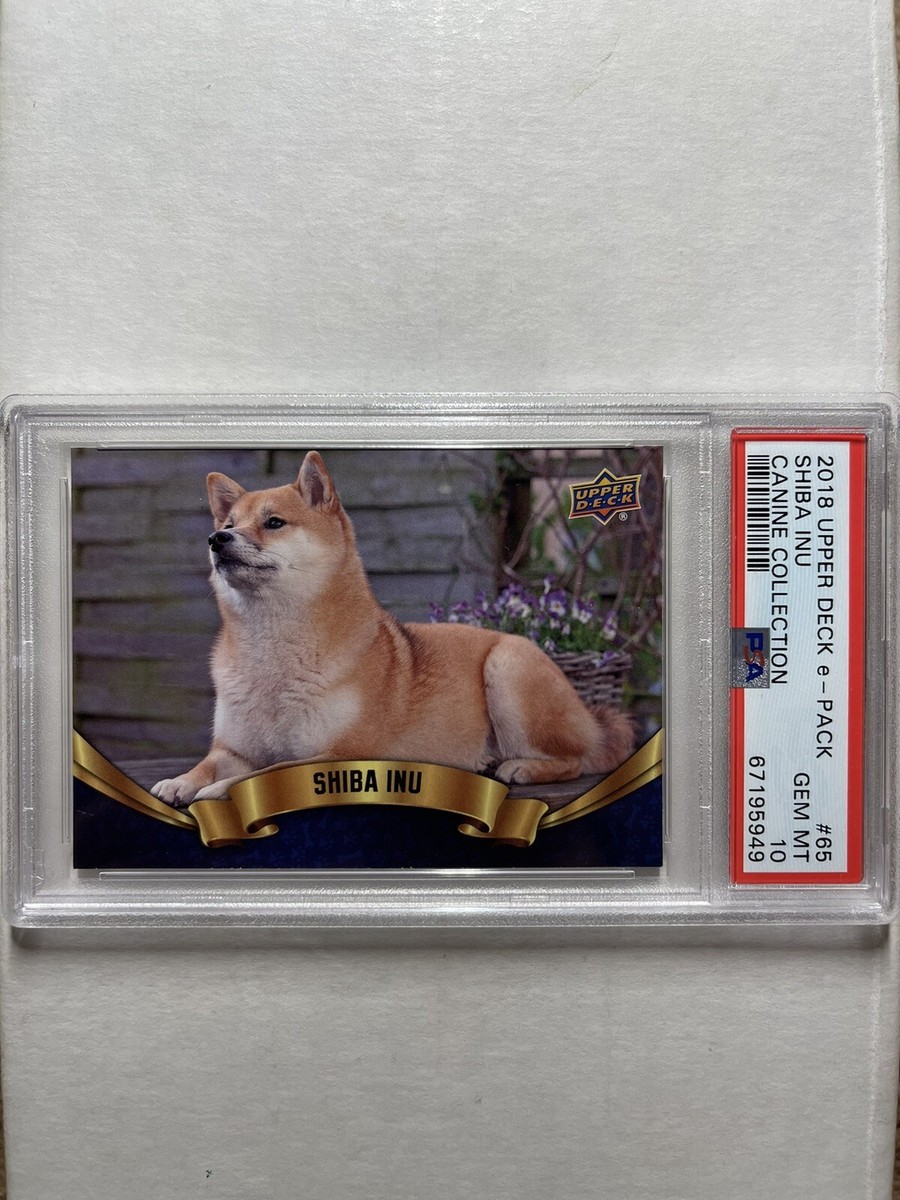 Shiba Inu 2018 Upper Deck e-Card #65 Canine Collection Crypto PSA 10 GEM  POP 1