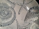 Bild 2 von 9