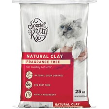 Non-Clumping Clay Cat Litter, Unscented, 25 lb Bag