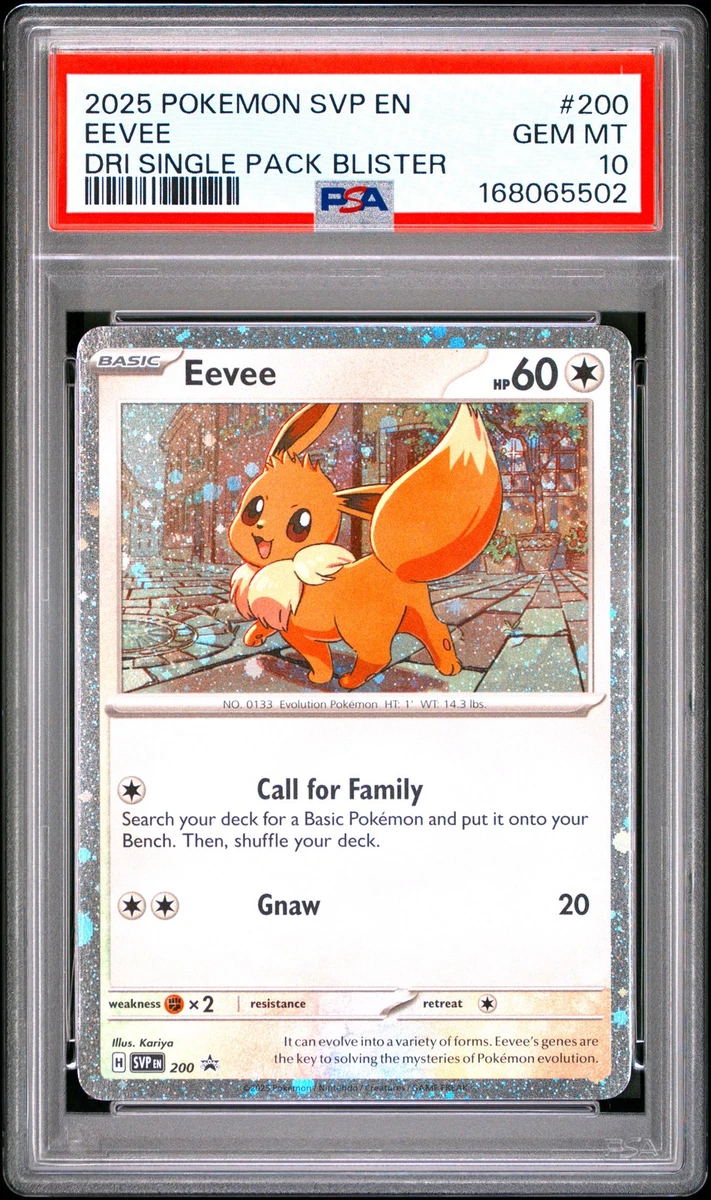 Preços baixos em Eevee Pokémon TCG Autenticador Esportivo
