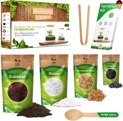 Flaschengarten Komplettset zum Schaffen EIN Ökosystem im Glas - Terrarium 