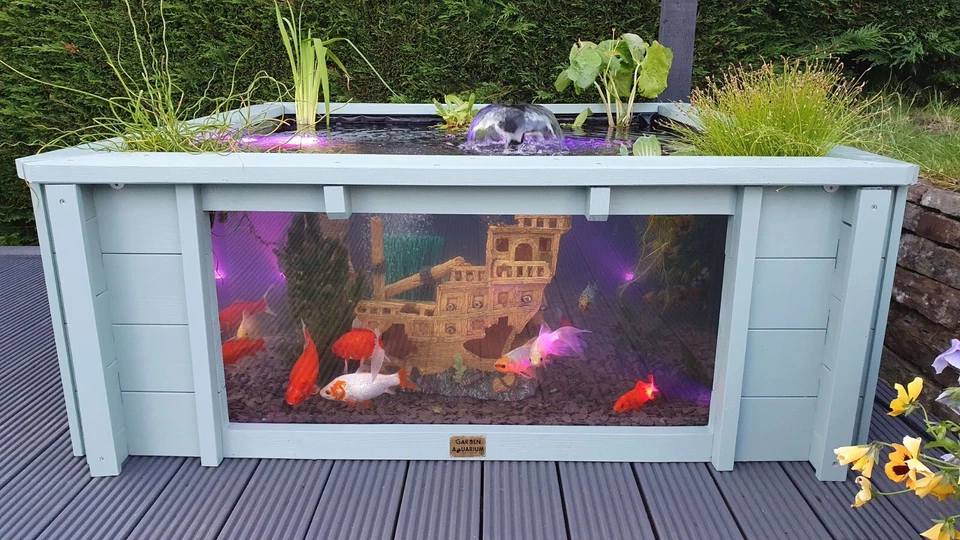 Пруд с двумя большими окнами лотос сад аквариум пруд - Изображение 2 из 4