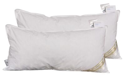 2 Stück superweiche Kopfkissen 40x80 Daunenkissen 250 g 100% neue Daunen soft