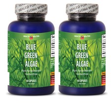 Blue Green Algae Powder from Klamath Lake Antioxidant 2 Bot 