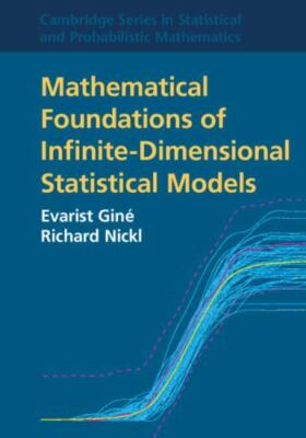 Mathematical Foundations of Infinite-Dimensional Statistical Models: Series Numb