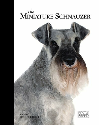 Miniature Schnauzer Best of Breed by Judy Childerley Book The