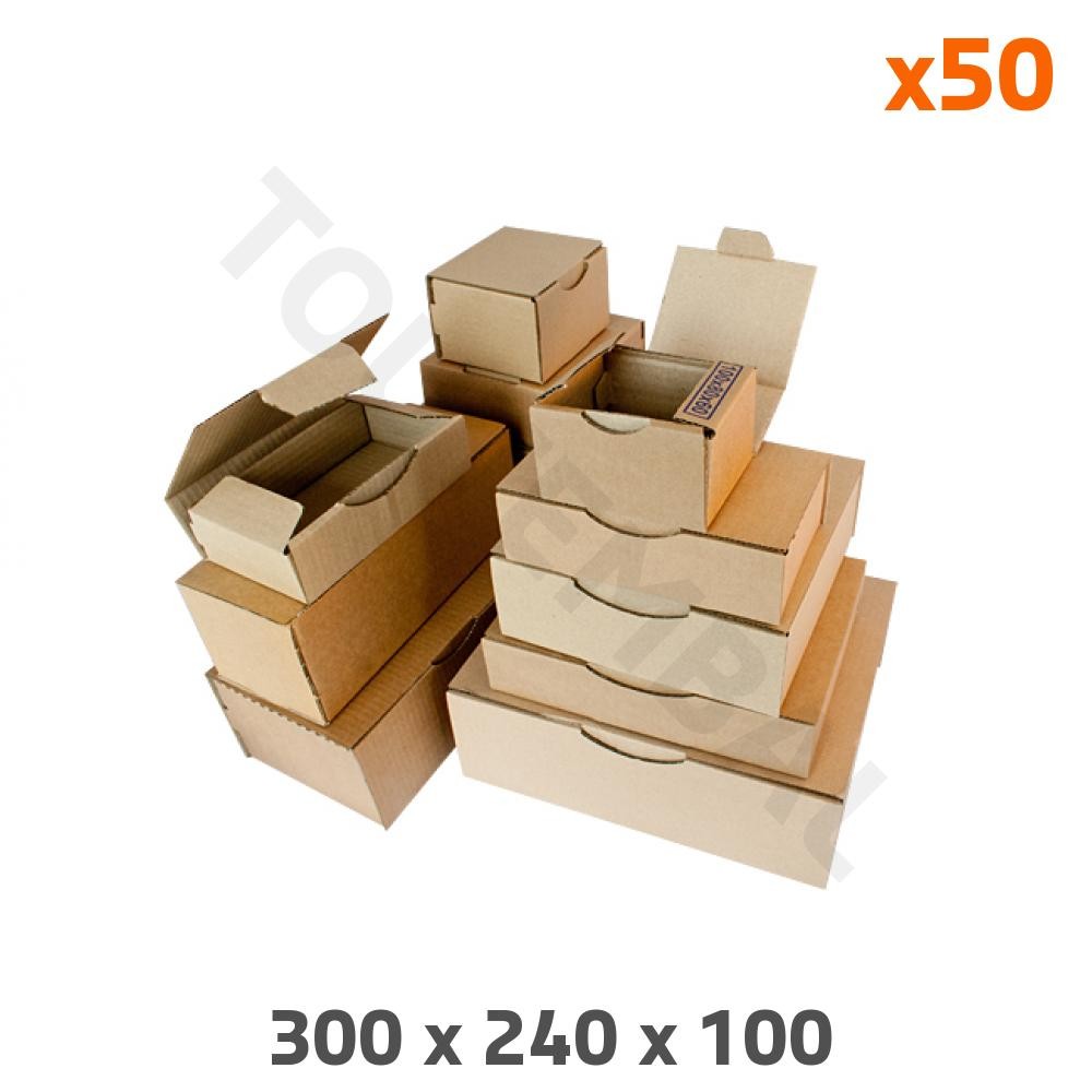 Boite carton colis 300x240x100 emballage postal expédition kraft brun petit format ondulé