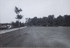 Boulevard Approach To Detroit Zoo, Magic Lantern Glass Slide