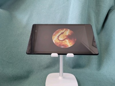 Asus Nexus 7 Tablet | 32 GB | NetHunter