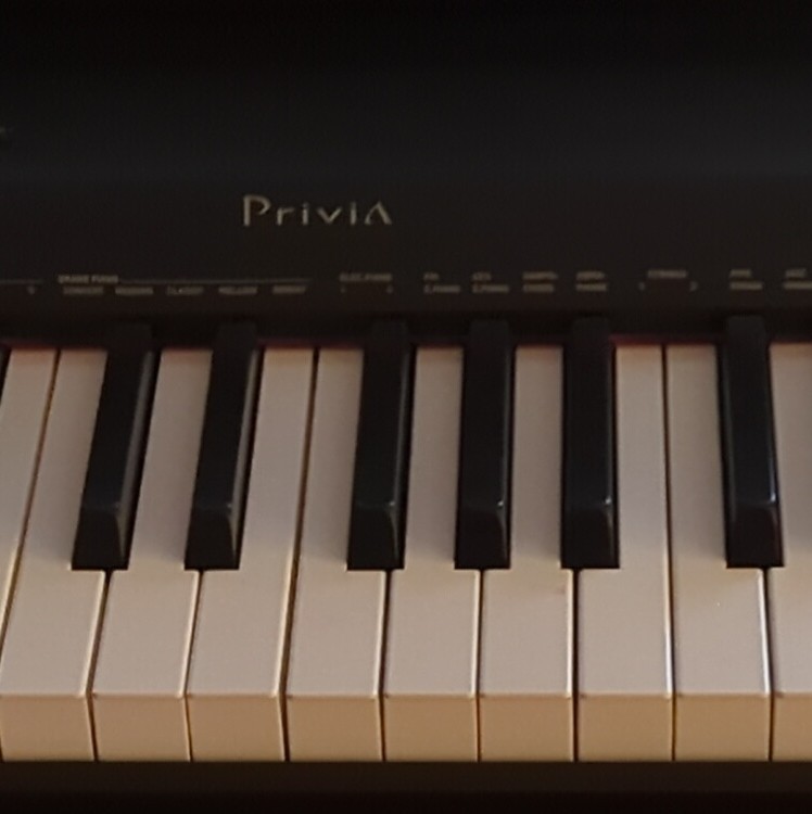Casio PX-160 Privia 88-Key Digital Piano Black w/ Stand, Pedal