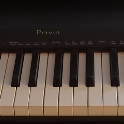 Casio PX-160 Privia 88-Key Digital Piano Black w/ Stand, Pedal