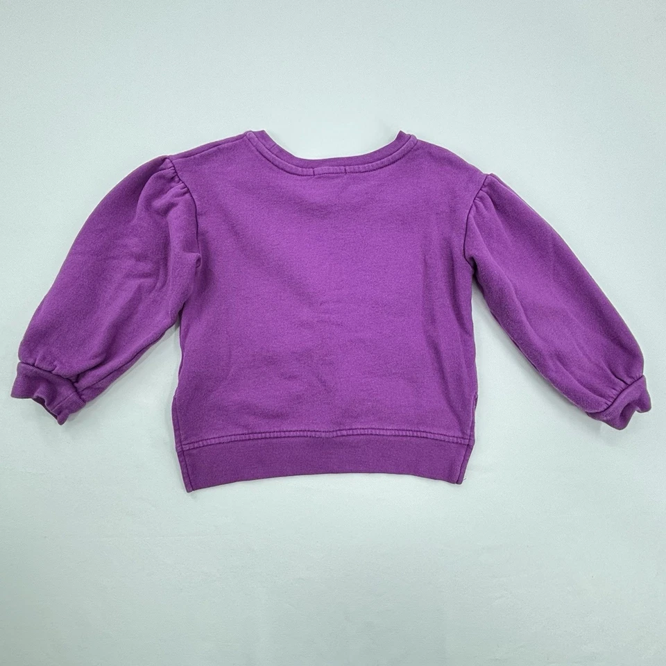 Suéter Flapdoodles Niñas Púrpura Cuello Redondo Mangas Largas con Aplique Difuso Talla 4T Foto 2 de 4