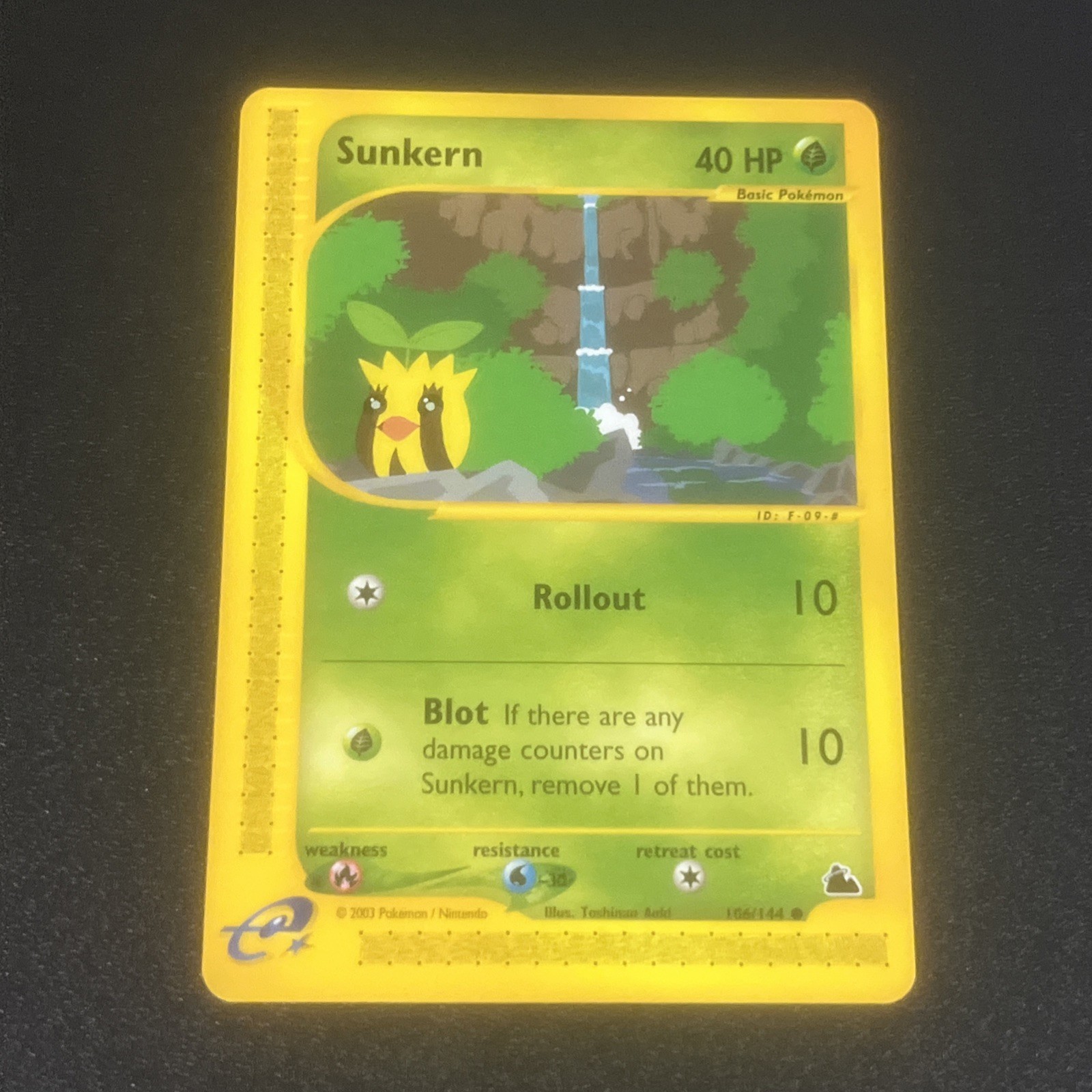 Skyridge Sunkern 106/144 NM