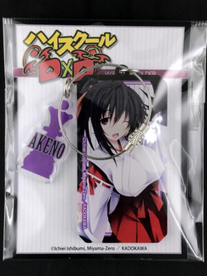 High School DxD Akeno Himejima Wire Acrylic Key Holder Key Ring Contents Seed