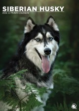Siberian Husky 2026 Calendar