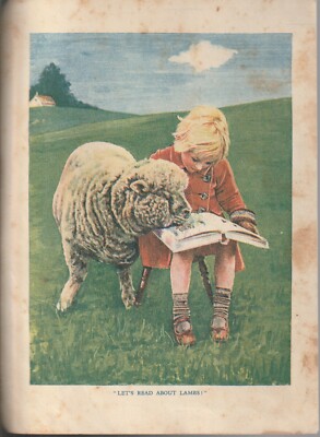COLOUR children's PRINT  , 1937 , suitable for framing,LETS READ ABOUT LAMBS