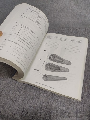 Study Guide to Accompany Medical-Surgical Nursing by Maebius,Linton 2002 - Picture 10 of 10