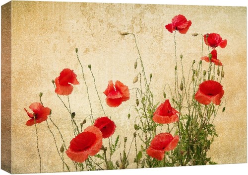 Wall26 Stampa su Tela Floreale Pastello Rosso Papavero Fiori Vintage Wall Art - Foto 3 di 7