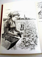 Roland Irolla le Vignoble de Champagne 118 dessins originaux