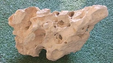 Texas Holey Rock 9"x6"x6" Aquarium Reptile Honeycomb Limestone Source S.A. Tx