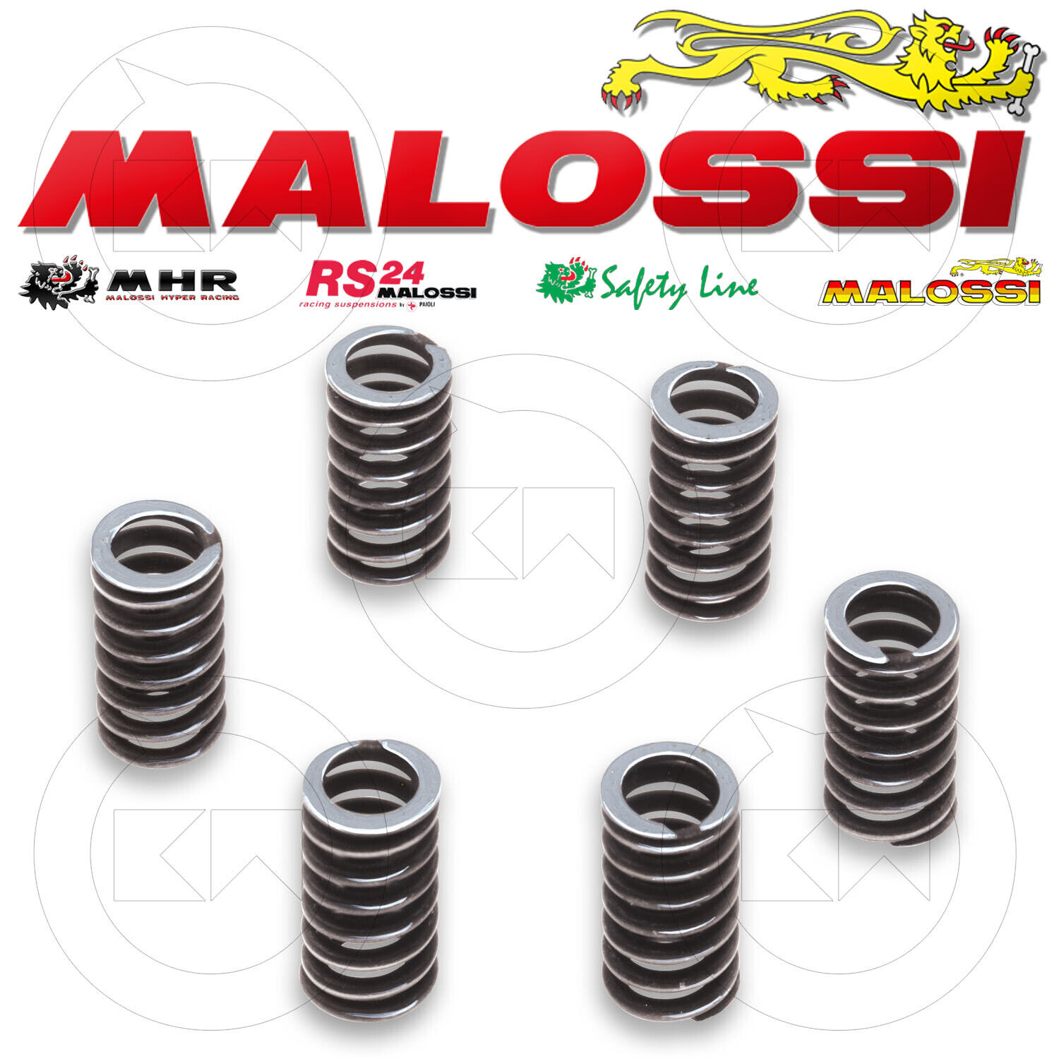 Malossi 294029 New Set 6 Springs For Clutch VESPA Cosa 150 2T