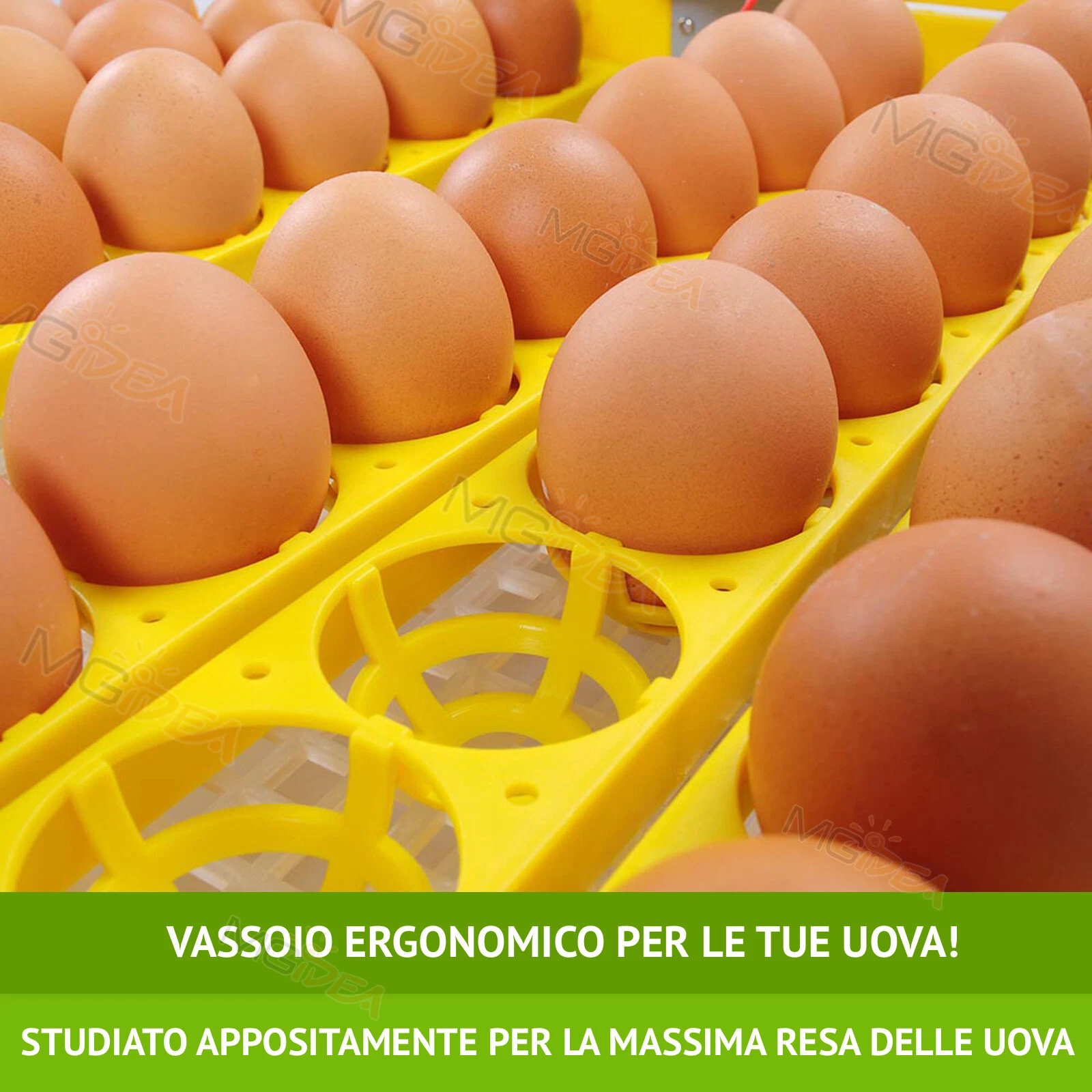 Foto 6 di 12