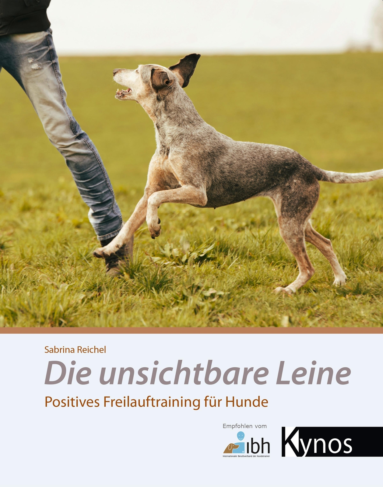 Thumbnail - Die Unsichtbare Leine | Sabrina Reichel | Positives Freilauftraining